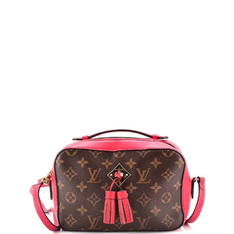 Saintonge Handbag Monogram Canvas with Leather